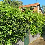 Despina\'S Yard