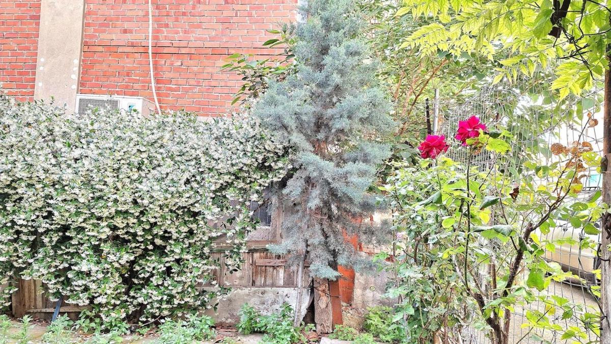 Apartment Despina's Yard Thessaloniki